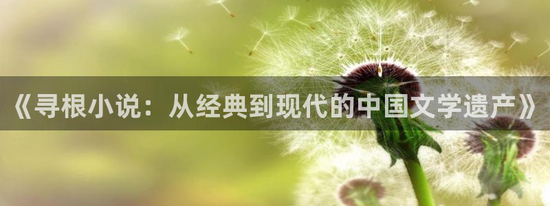 海棠小说在线观看阅读